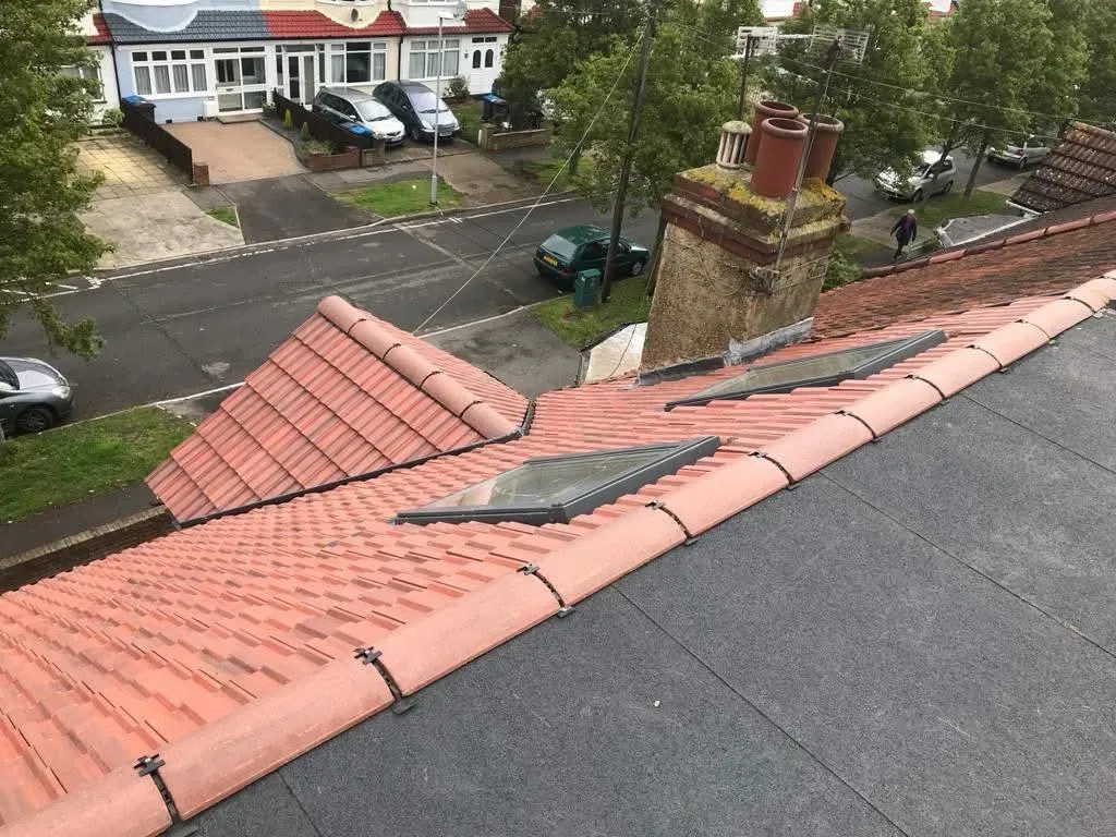 Roof Moss Removal by HomeGuard Roofing Ltd 